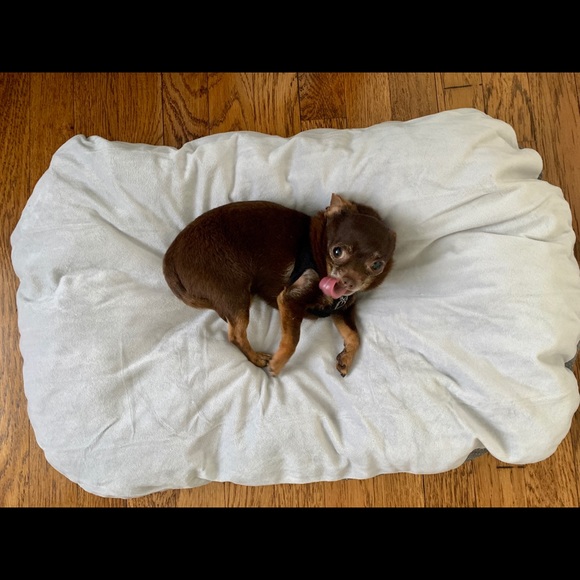 Simple anti slip comfy on the go pet bed - Picture 5 of 6